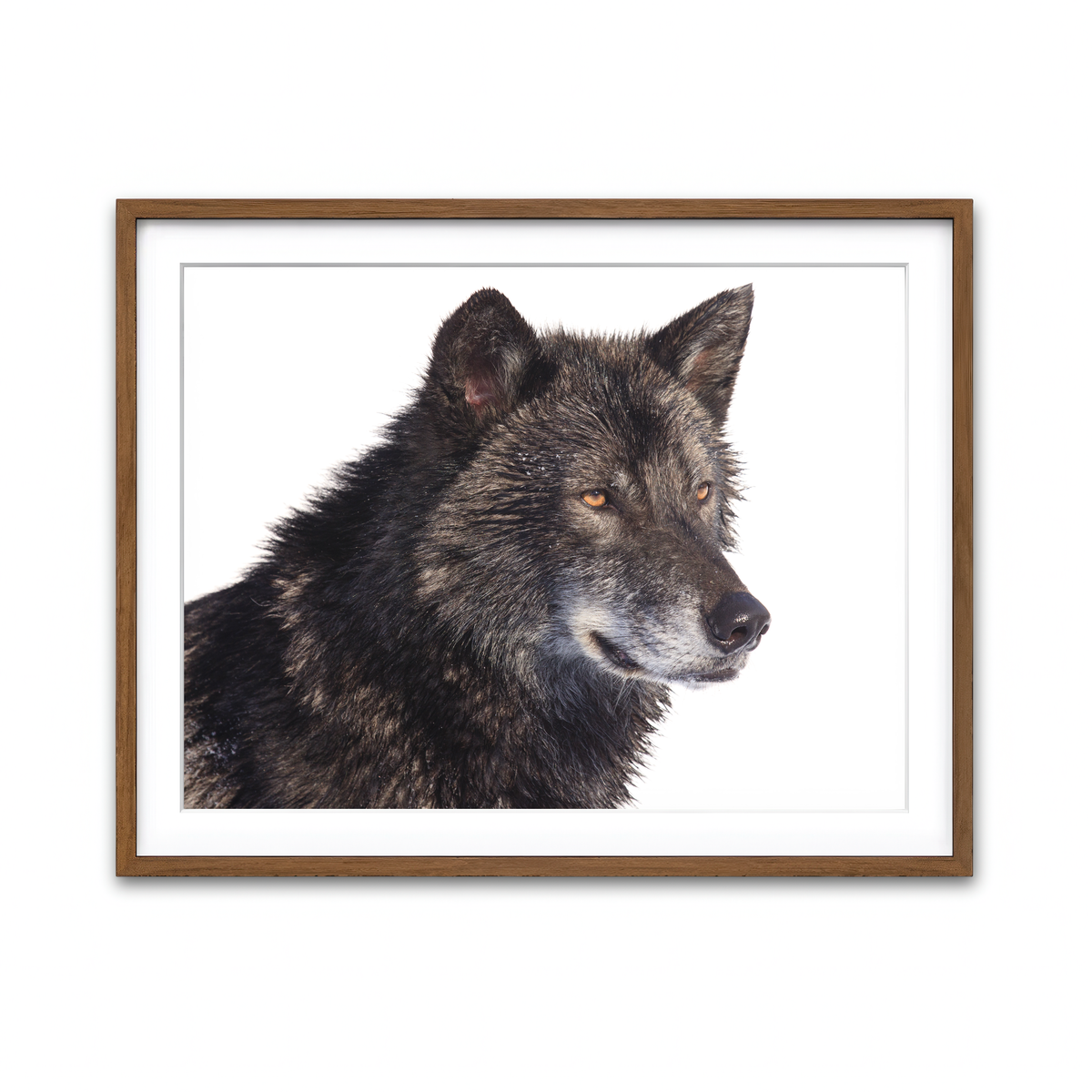 Framed Print 4x3 Walnut