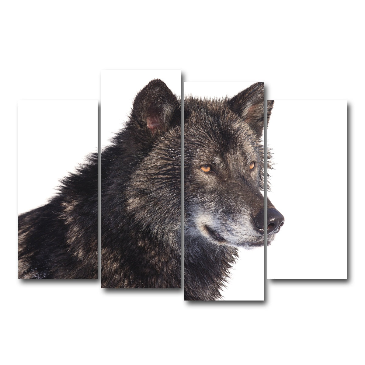 AUTO-MOCKUP WHITE | Black wolf side portrait | 4 Piece | Gallery Wrap Canvas | group=4_normal