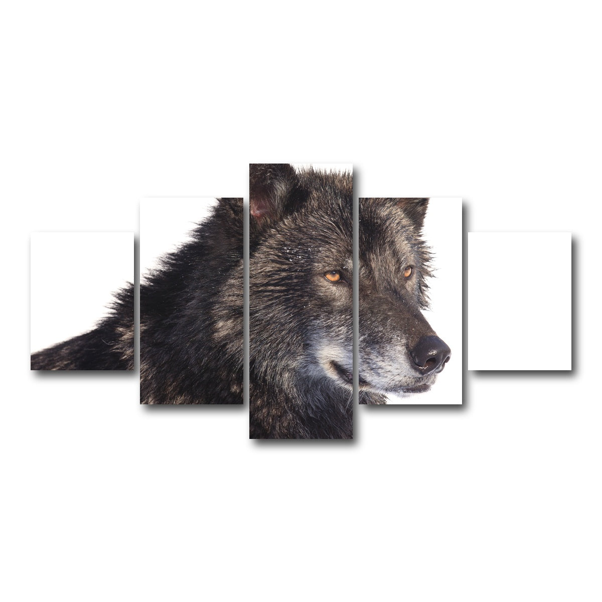 AUTO-MOCKUP WHITE | Black wolf side portrait | 5 Piece | Gallery Wrap Canvas | group=5_short