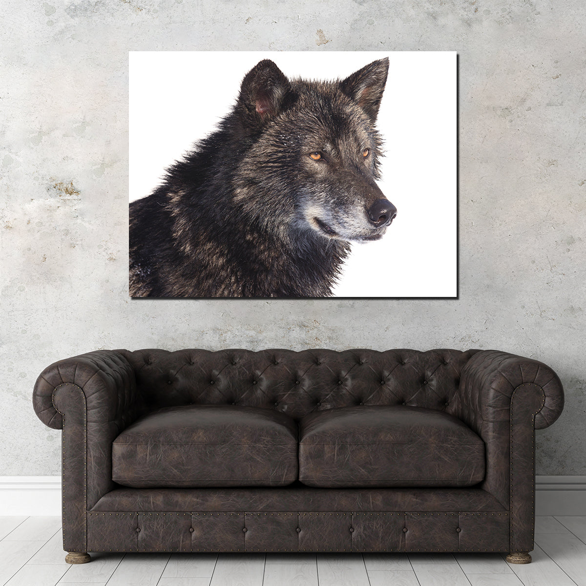 Black Wolf Side Portrait Wall Art