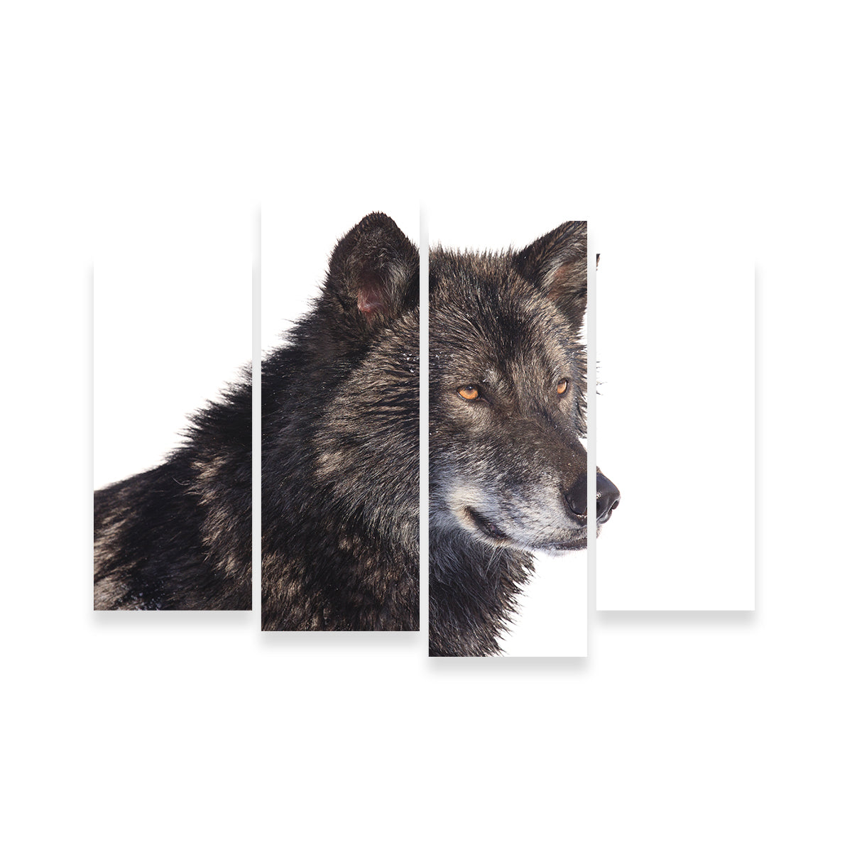 Black Wolf Side Portrait Wall Art