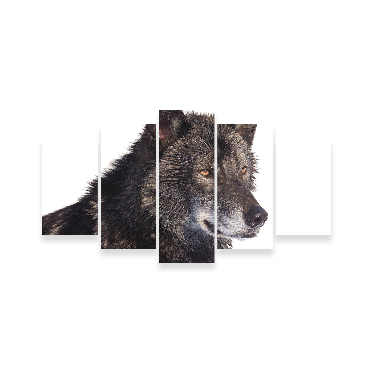 Black Wolf Side Portrait Wall Art