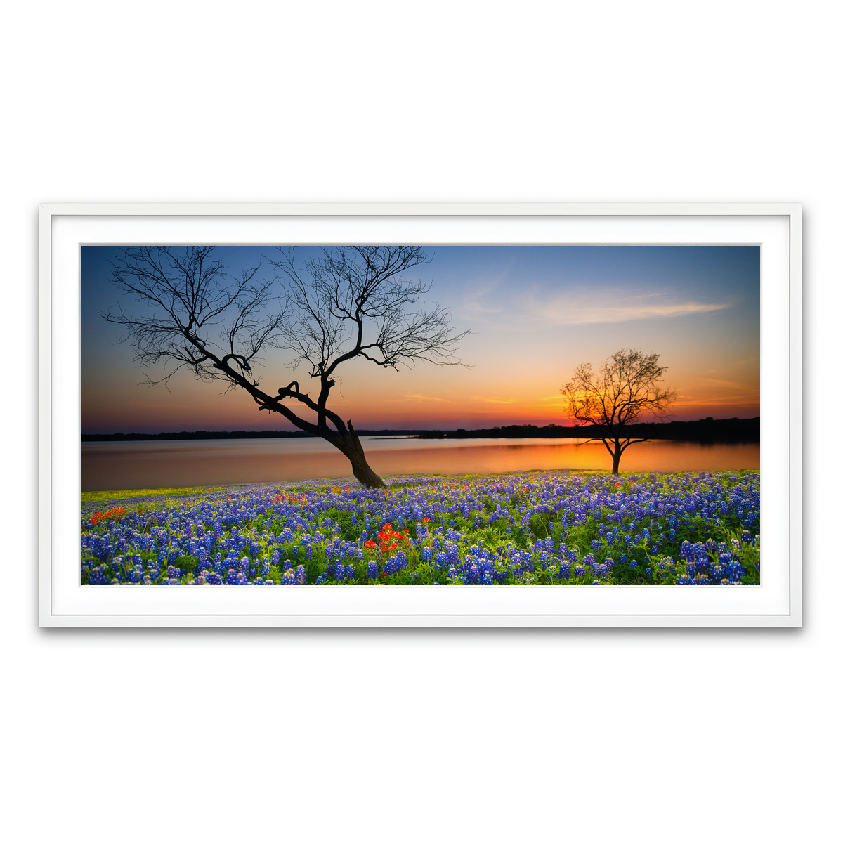 Framed Print 2x1 White