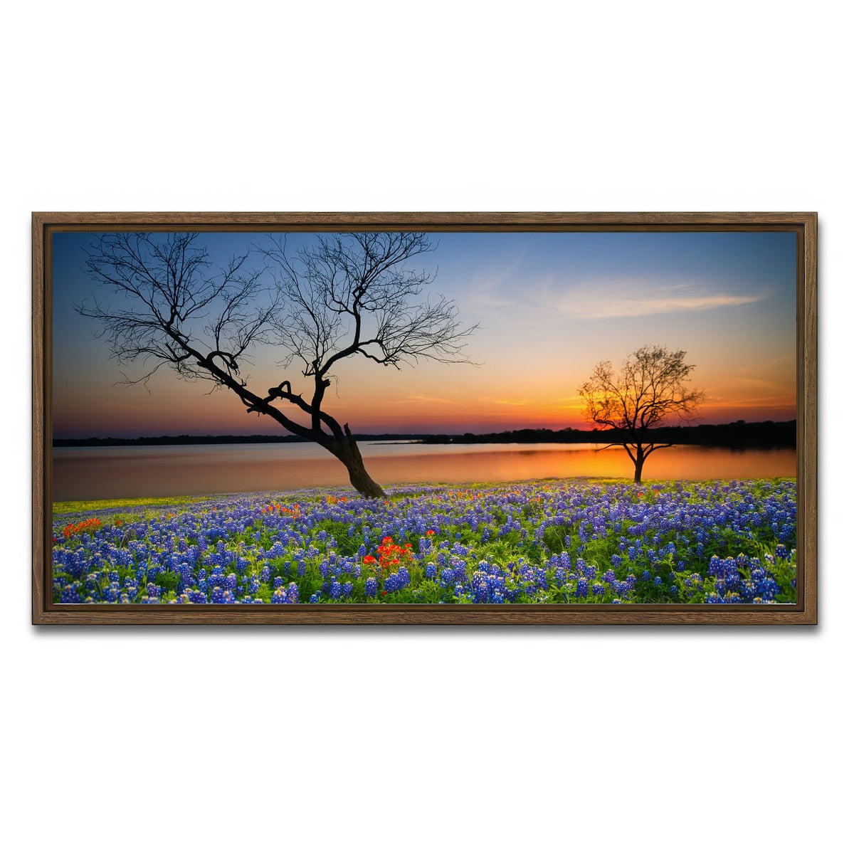 AUTO-MOCKUP WHITE | Blooming bluebonnet wildflower field | 1 Piece | Walnut Framed Canvas | group=2x1