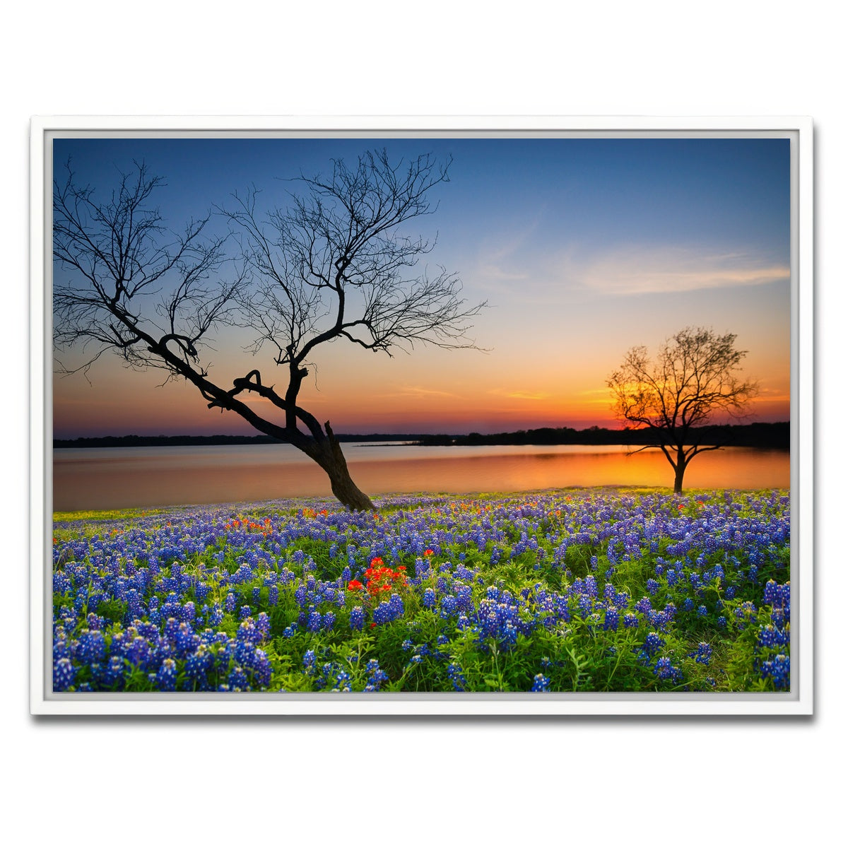 AUTO-MOCKUP WHITE | Blooming bluebonnet wildflower field | 1 Piece | White Framed Canvas | group=4x3