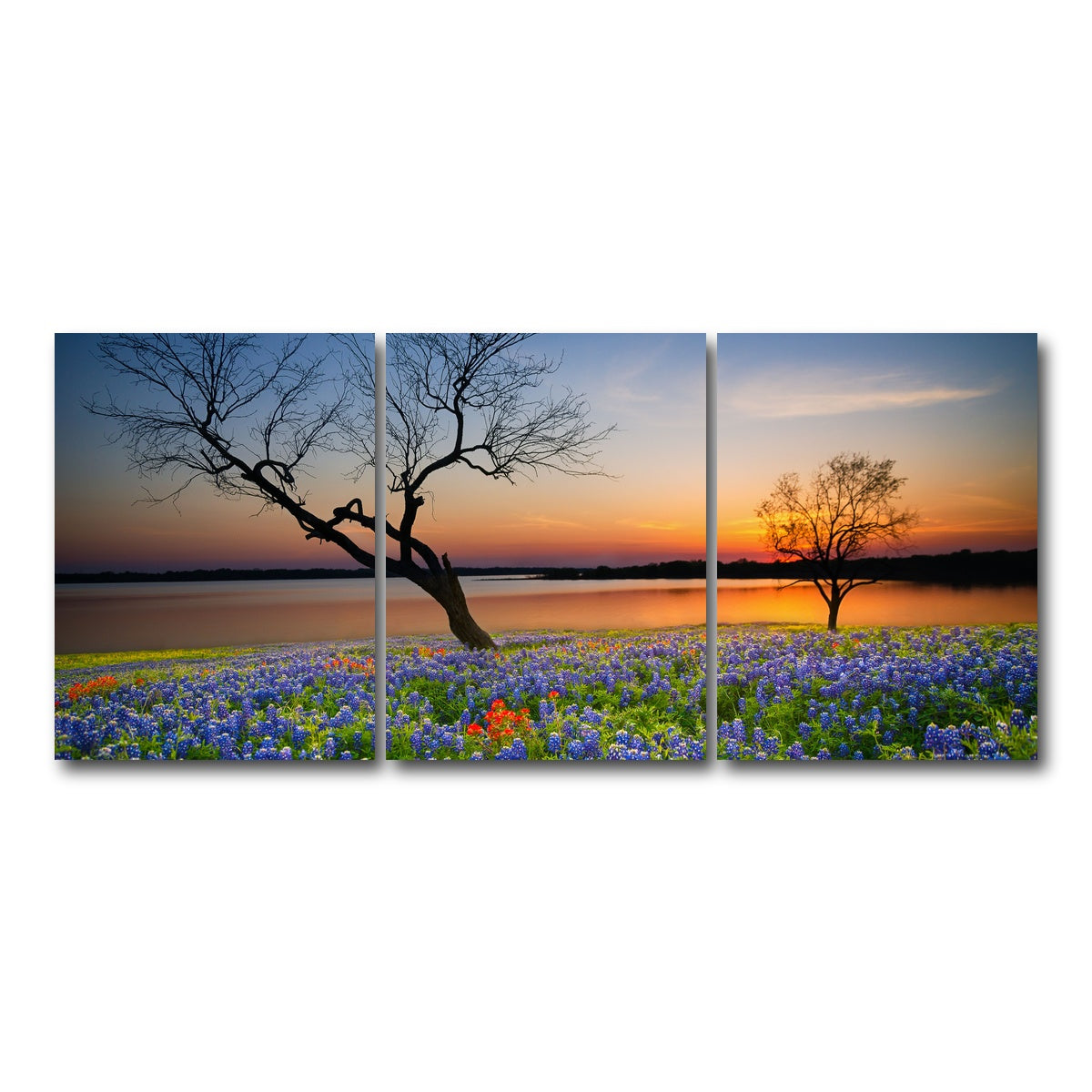 AUTO-MOCKUP WHITE | Blooming bluebonnet wildflower field | 3 Piece | Gallery Wrap Canvas | group=18x24