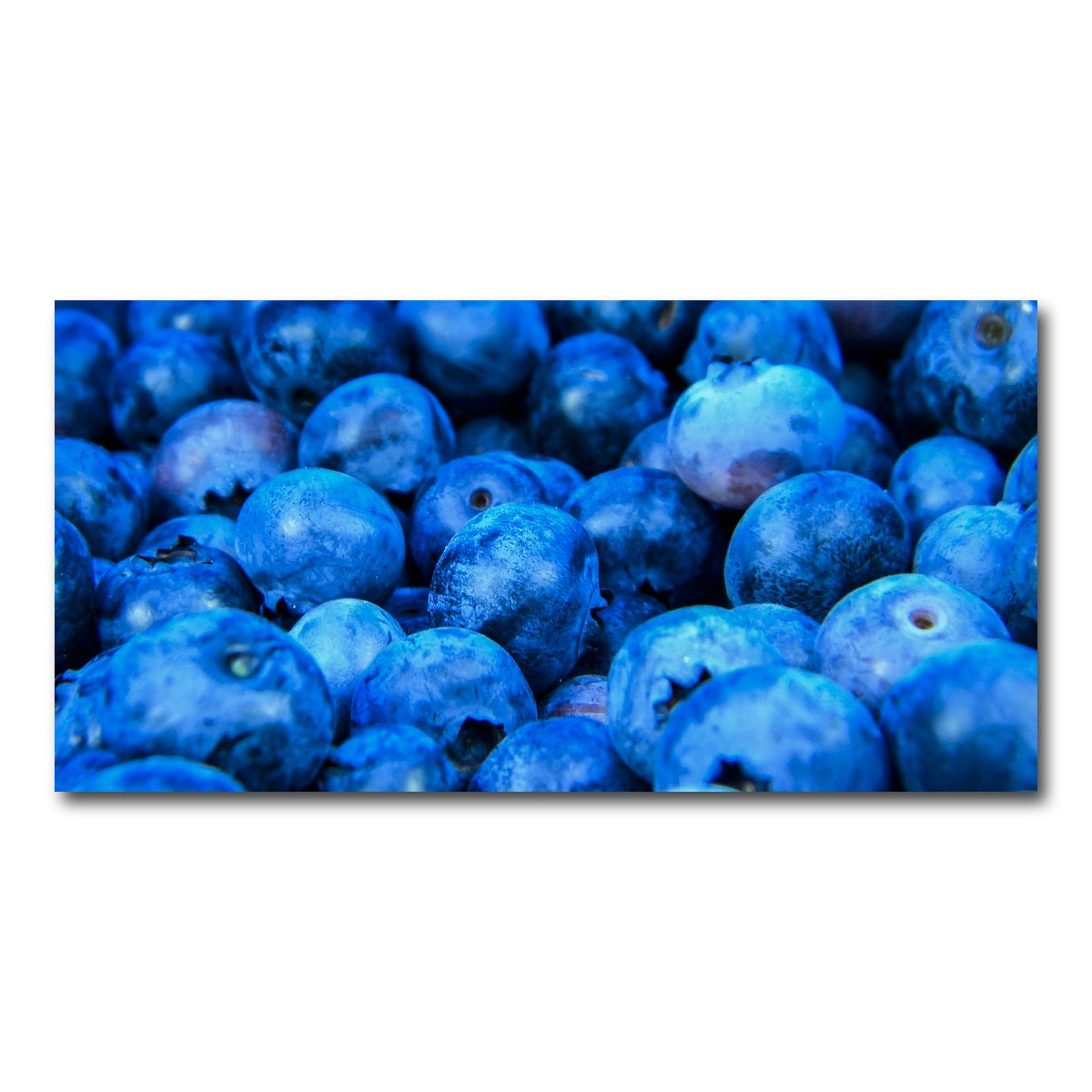 AUTO-MOCKUP WHITE | Blue Blueberries | 1 Piece | Gallery Wrap Canvas | group=2x1