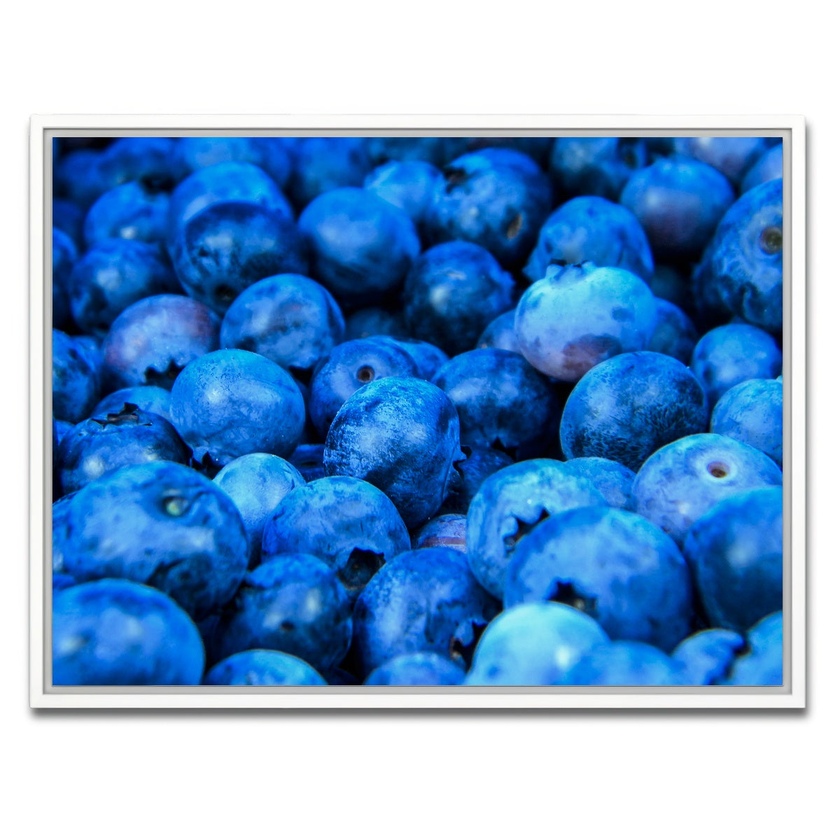 AUTO-MOCKUP WHITE | Blue Blueberries | 1 Piece | White Framed Canvas | group=4x3