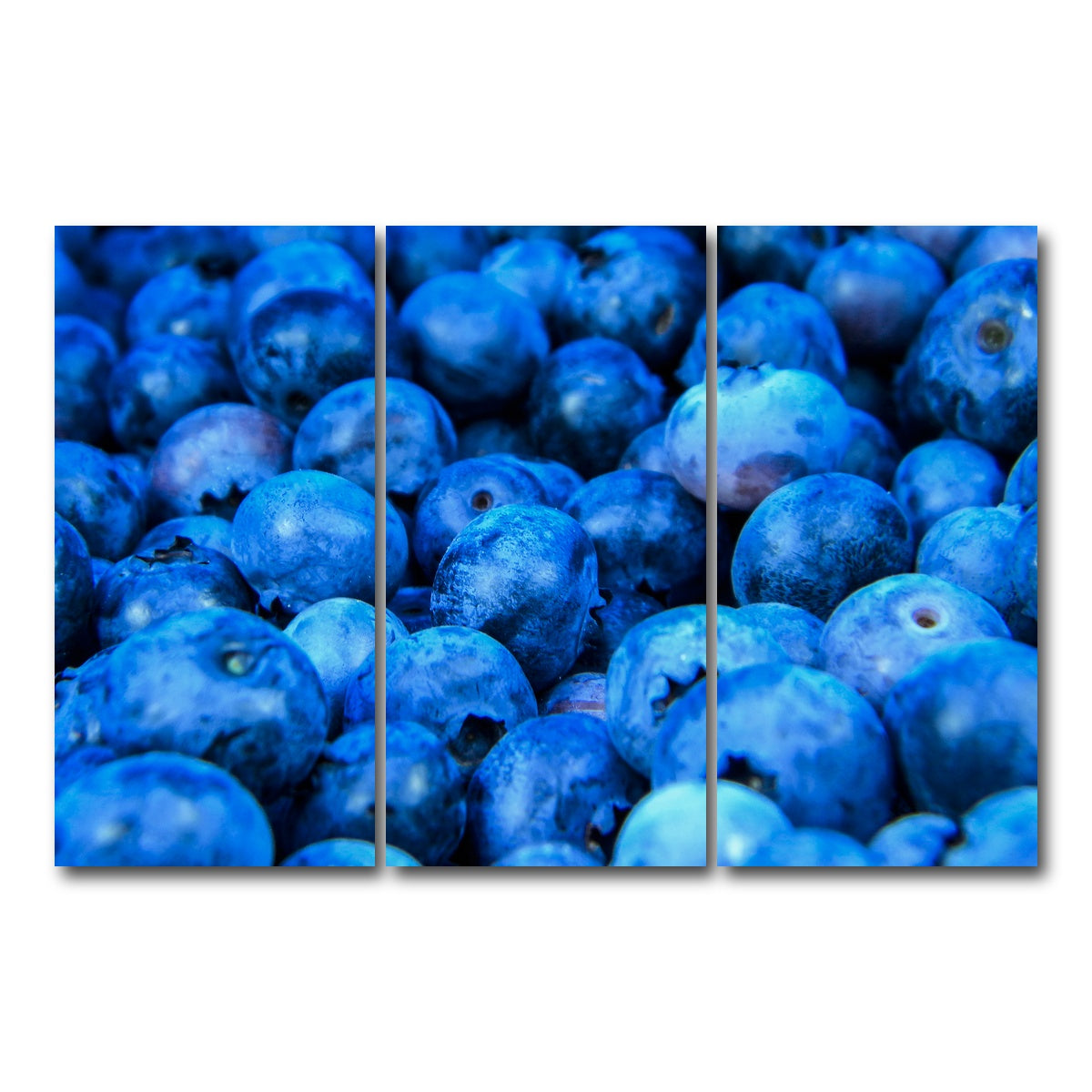 AUTO-MOCKUP WHITE | Blue Blueberries | 3 Piece | Gallery Wrap Canvas | group=12x24