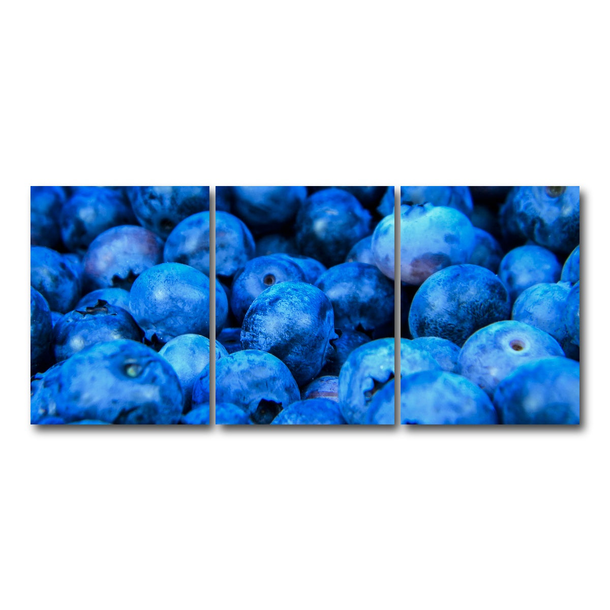 AUTO-MOCKUP WHITE | Blue Blueberries | 3 Piece | Gallery Wrap Canvas | group=18x24