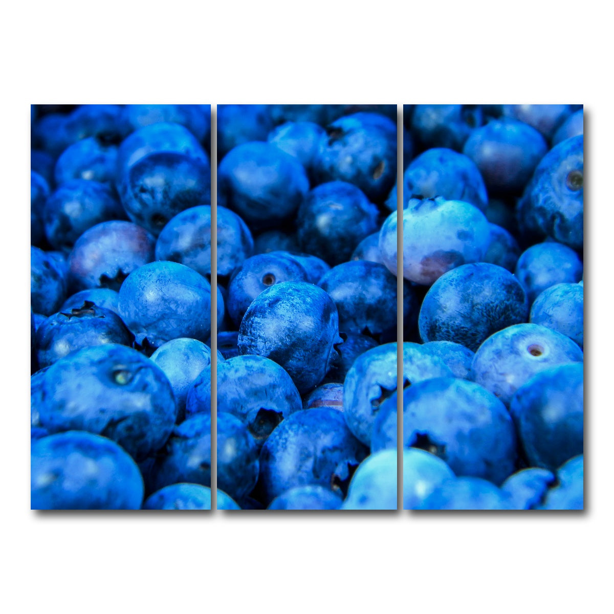 AUTO-MOCKUP WHITE | Blue Blueberries | 3 Piece | Gallery Wrap Canvas | group=8x18