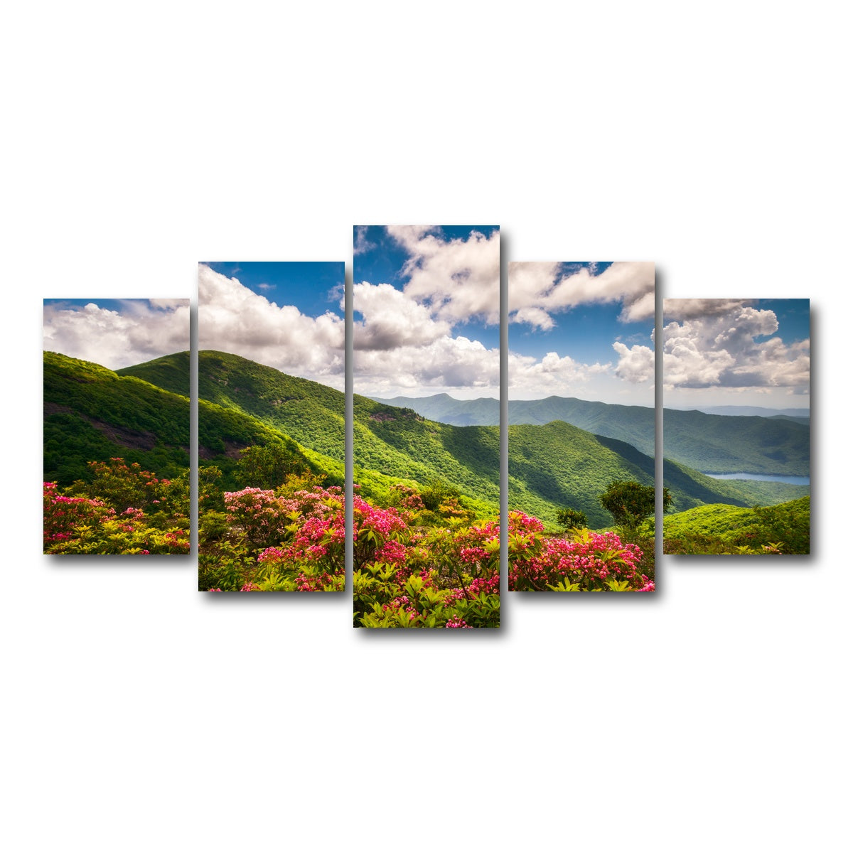AUTO-MOCKUP WHITE | Blue Ridge Parkway | 5 Piece | Gallery Wrap Canvas | group=5_normal