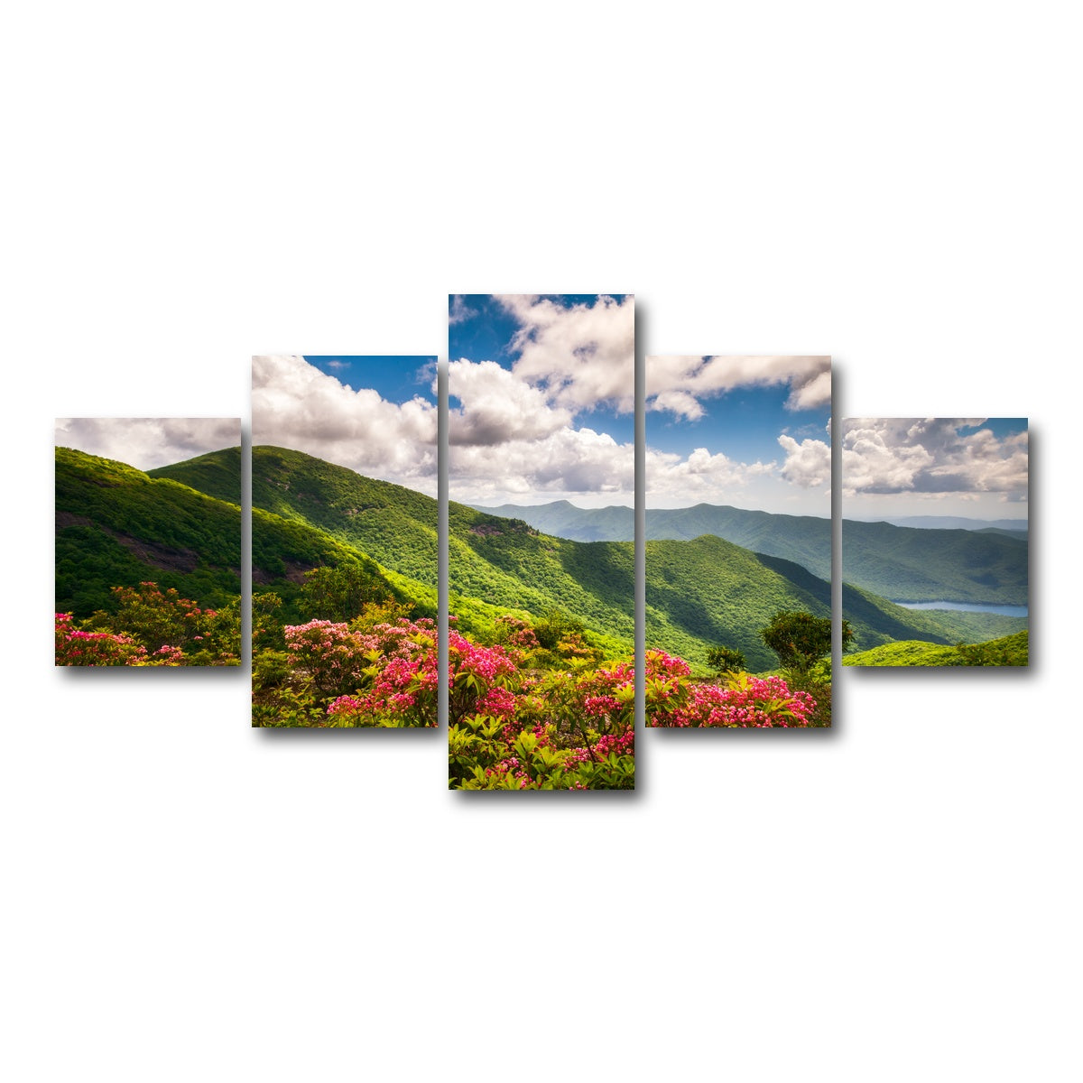AUTO-MOCKUP WHITE | Blue Ridge Parkway | 5 Piece | Gallery Wrap Canvas | group=5_short