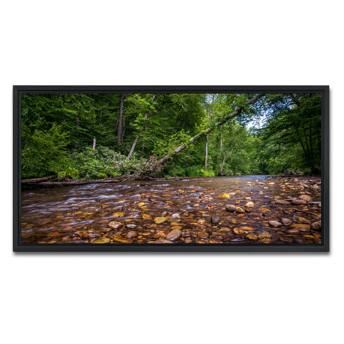 AUTO-MOCKUP WHITE | Blue Ridge Pky NC | 1 Piece | Black Framed Canvas | group=2x1