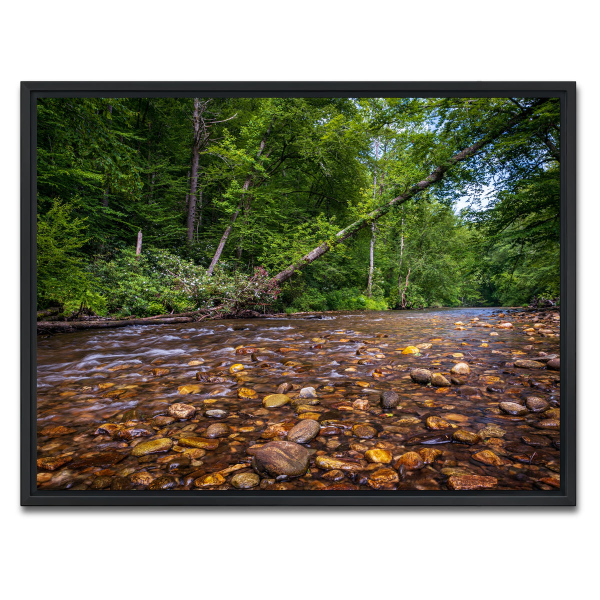 AUTO-MOCKUP WHITE | Blue Ridge Pky NC | 1 Piece | Black Framed Canvas | group=4x3