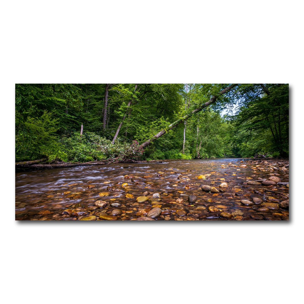 AUTO-MOCKUP WHITE | Blue Ridge Pky NC | 1 Piece | Gallery Wrap Canvas | group=2x1
