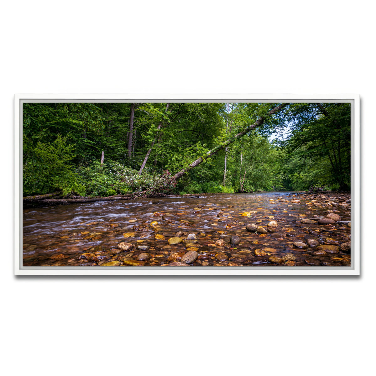 AUTO-MOCKUP WHITE | Blue Ridge Pky NC | 1 Piece | White Framed Canvas | group=2x1