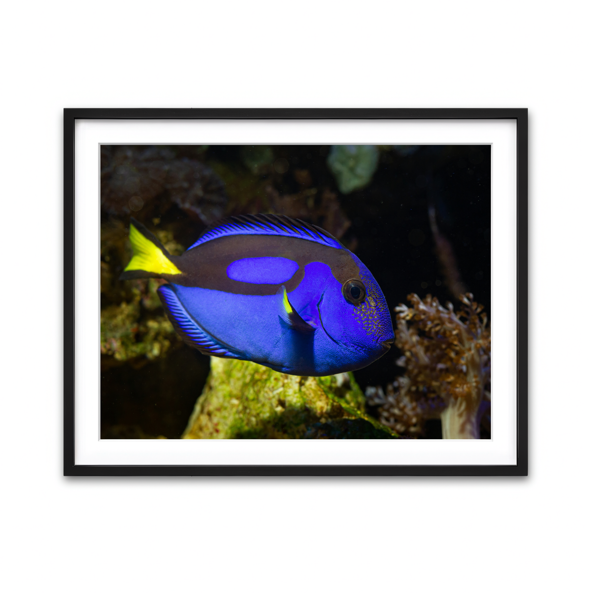 Framed Print 4x3 Black