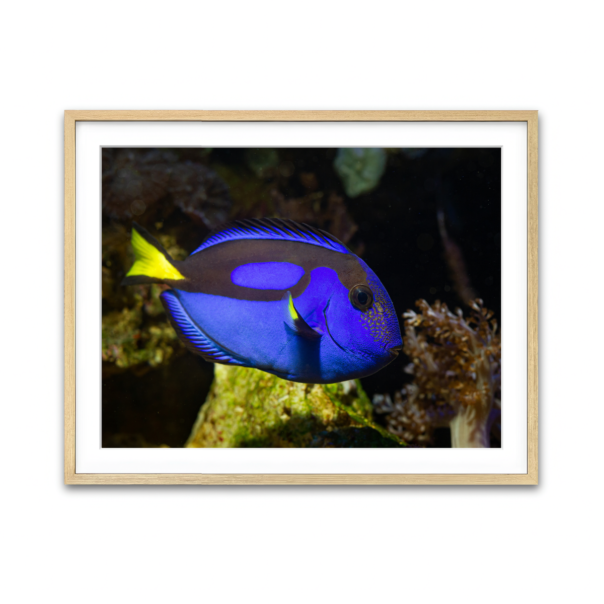 Framed Print 4x3 Natural