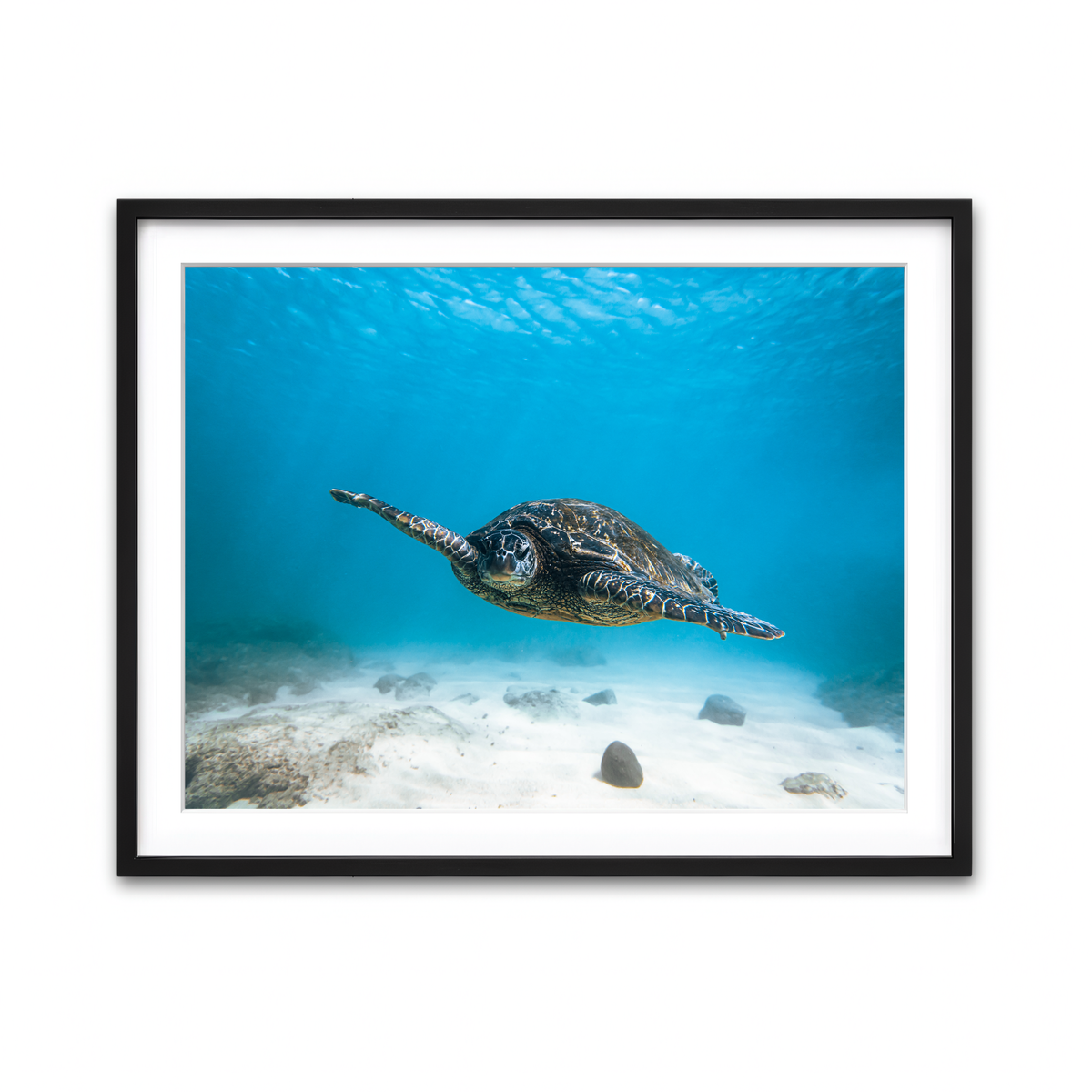 Framed Print 4x3 Black