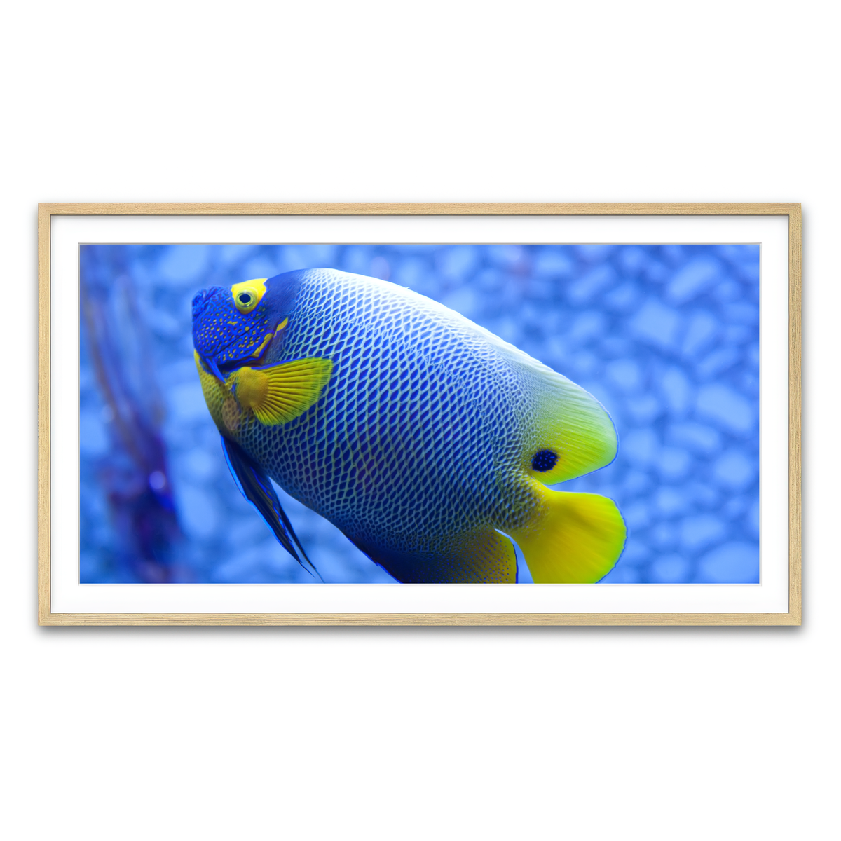 Framed Print 2x1 Natural