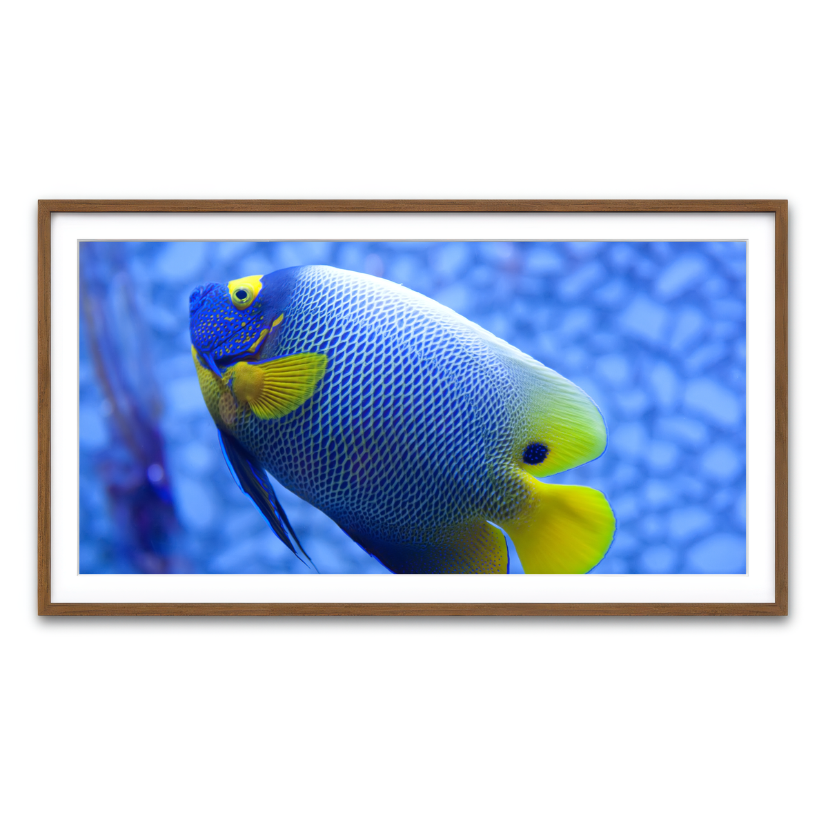 Framed Print 2x1 Walnut