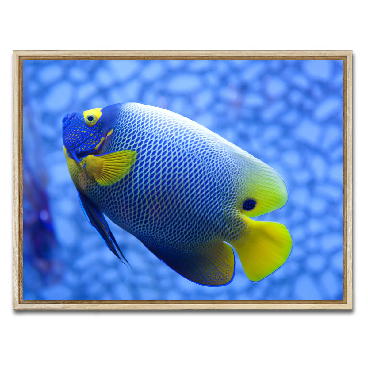 AUTO-MOCKUP WHITE | Blue and yellow tropical fish | 1 Piece | Natural Framed Canvas | group=4x3