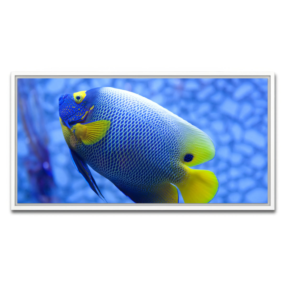AUTO-MOCKUP WHITE | Blue and yellow tropical fish | 1 Piece | White Framed Canvas | group=2x1