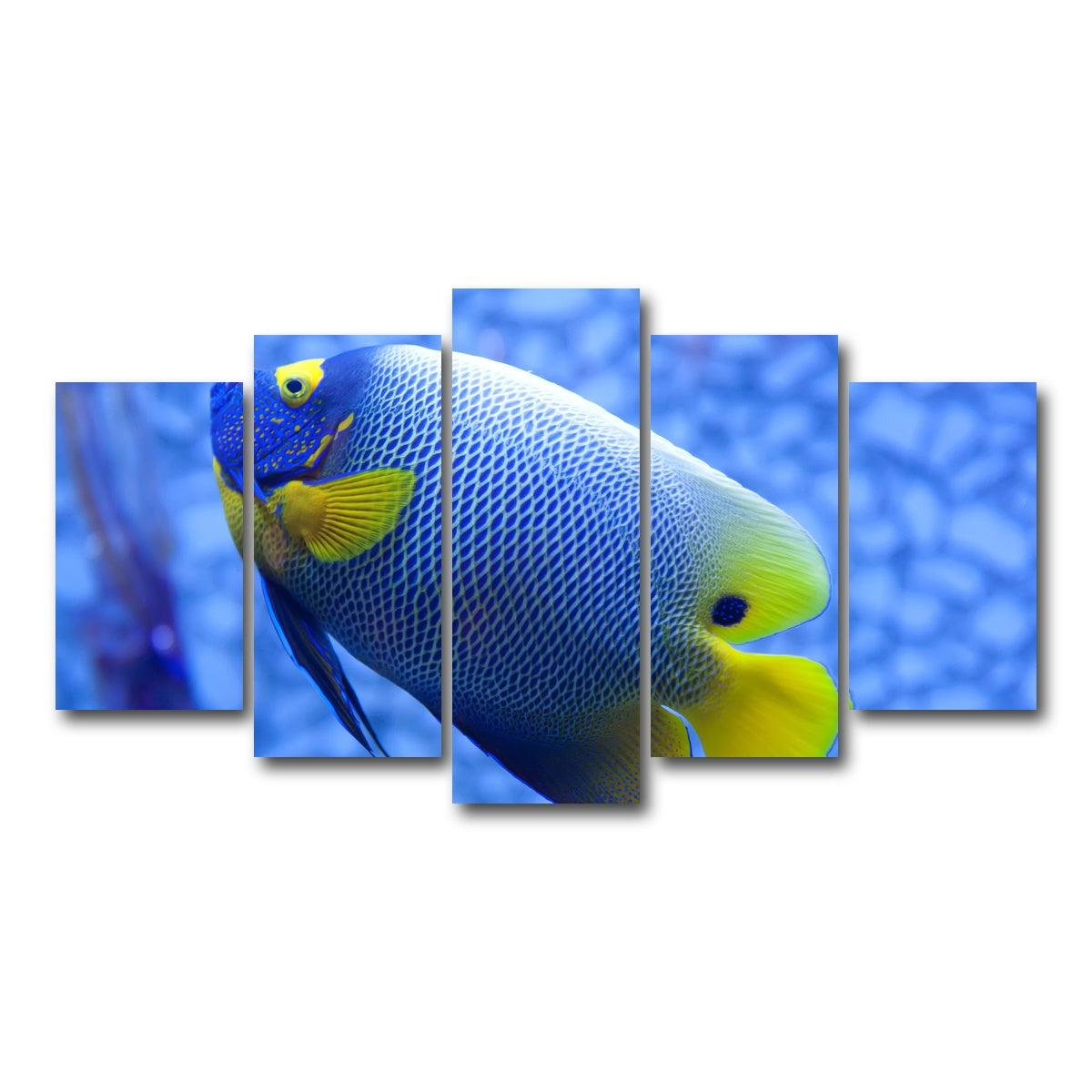 AUTO-MOCKUP WHITE | Blue and yellow tropical fish | 5 Piece | Gallery Wrap Canvas | group=5_normal
