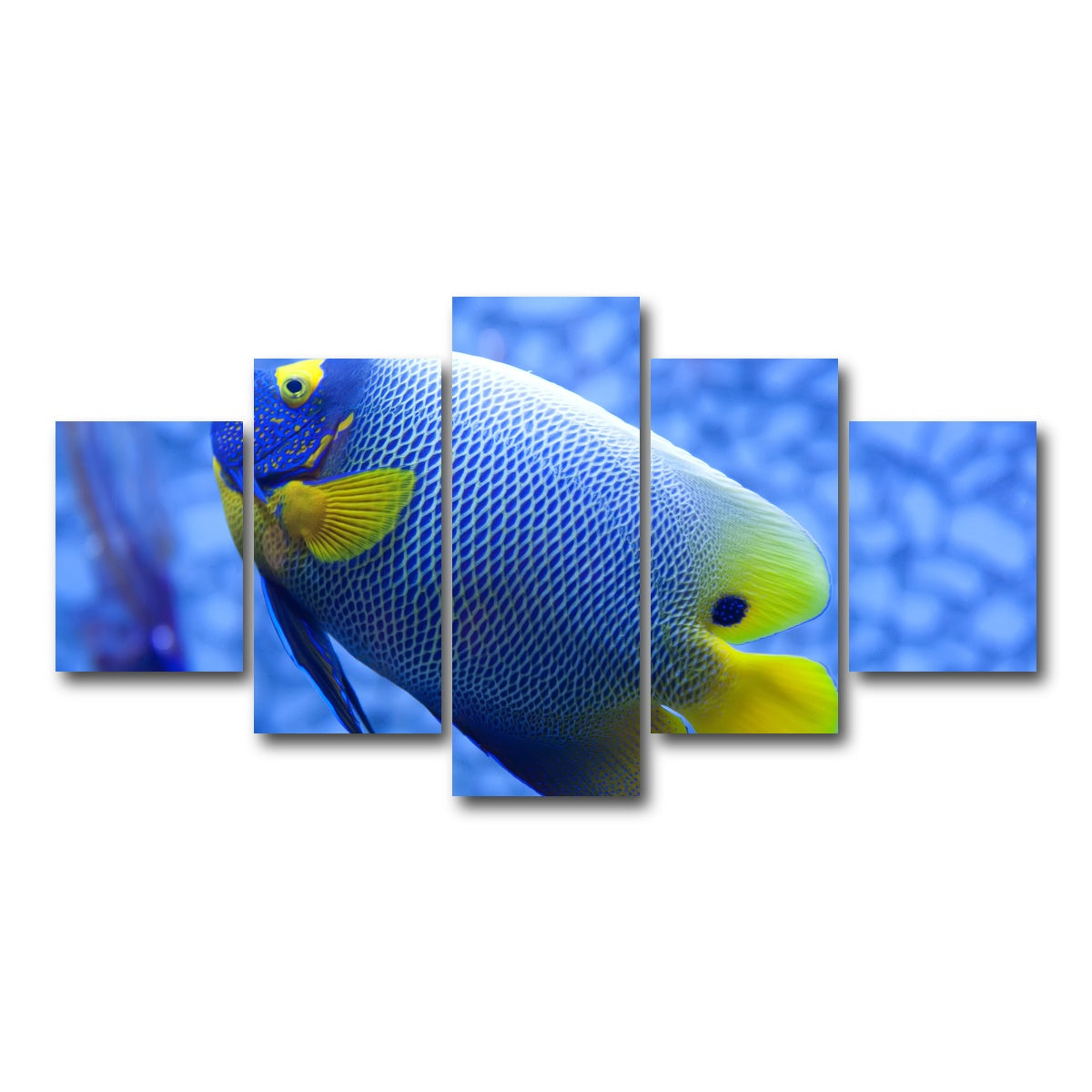 AUTO-MOCKUP WHITE | Blue and yellow tropical fish | 5 Piece | Gallery Wrap Canvas | group=5_short