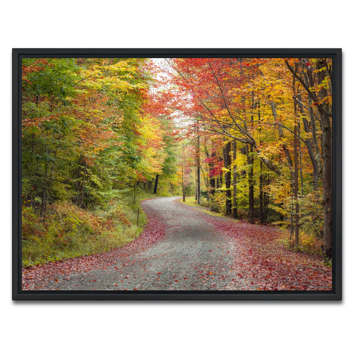 AUTO-MOCKUP WHITE | Blueberry Lane | 1 Piece | Black Framed Canvas | group=4x3