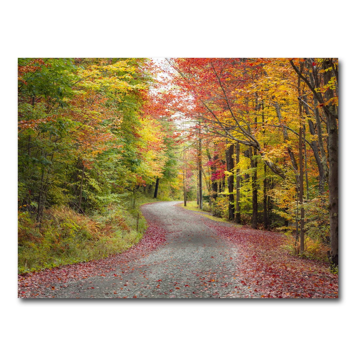 AUTO-MOCKUP WHITE | Blueberry Lane | 1 Piece | Gallery Wrap Canvas | group=4x3