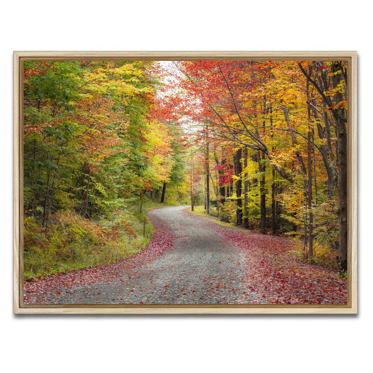 AUTO-MOCKUP WHITE | Blueberry Lane | 1 Piece | Natural Framed Canvas | group=4x3