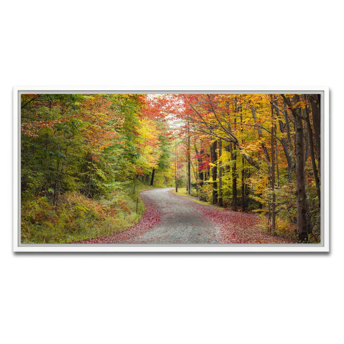 AUTO-MOCKUP WHITE | Blueberry Lane | 1 Piece | White Framed Canvas | group=2x1