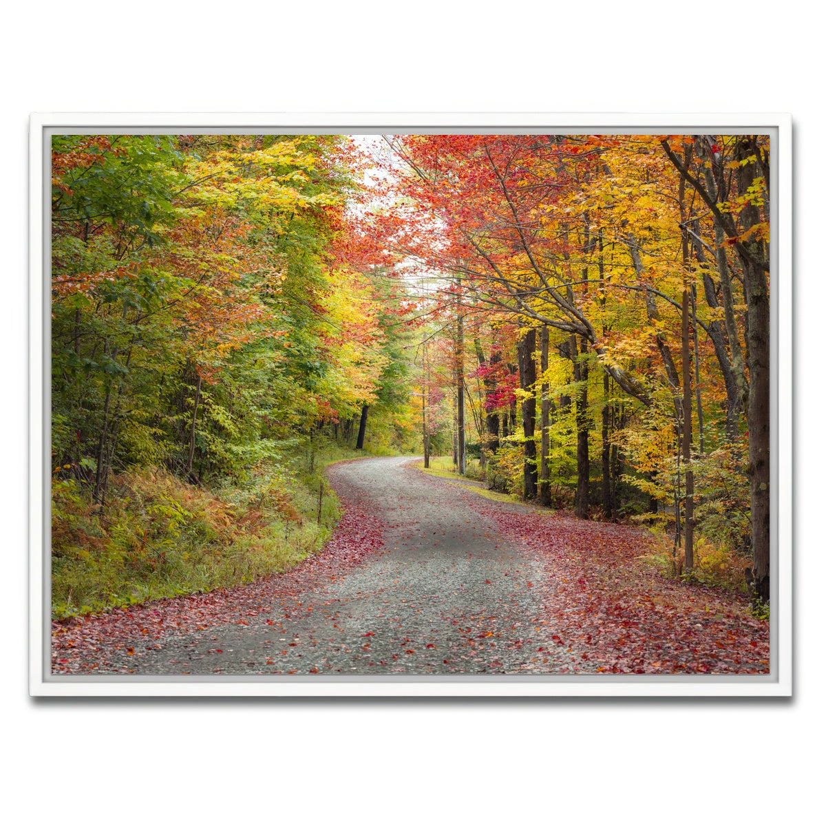 AUTO-MOCKUP WHITE | Blueberry Lane | 1 Piece | White Framed Canvas | group=4x3