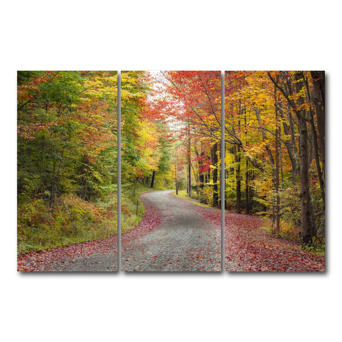 AUTO-MOCKUP WHITE | Blueberry Lane | 3 Piece | Gallery Wrap Canvas | group=12x24