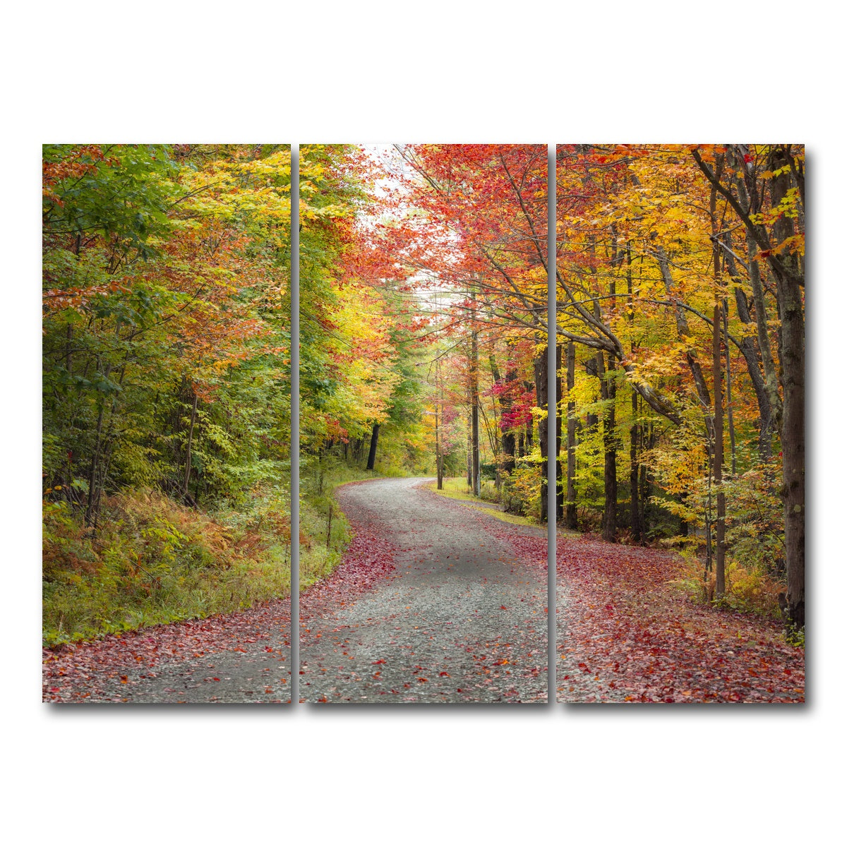 AUTO-MOCKUP WHITE | Blueberry Lane | 3 Piece | Gallery Wrap Canvas | group=8x18