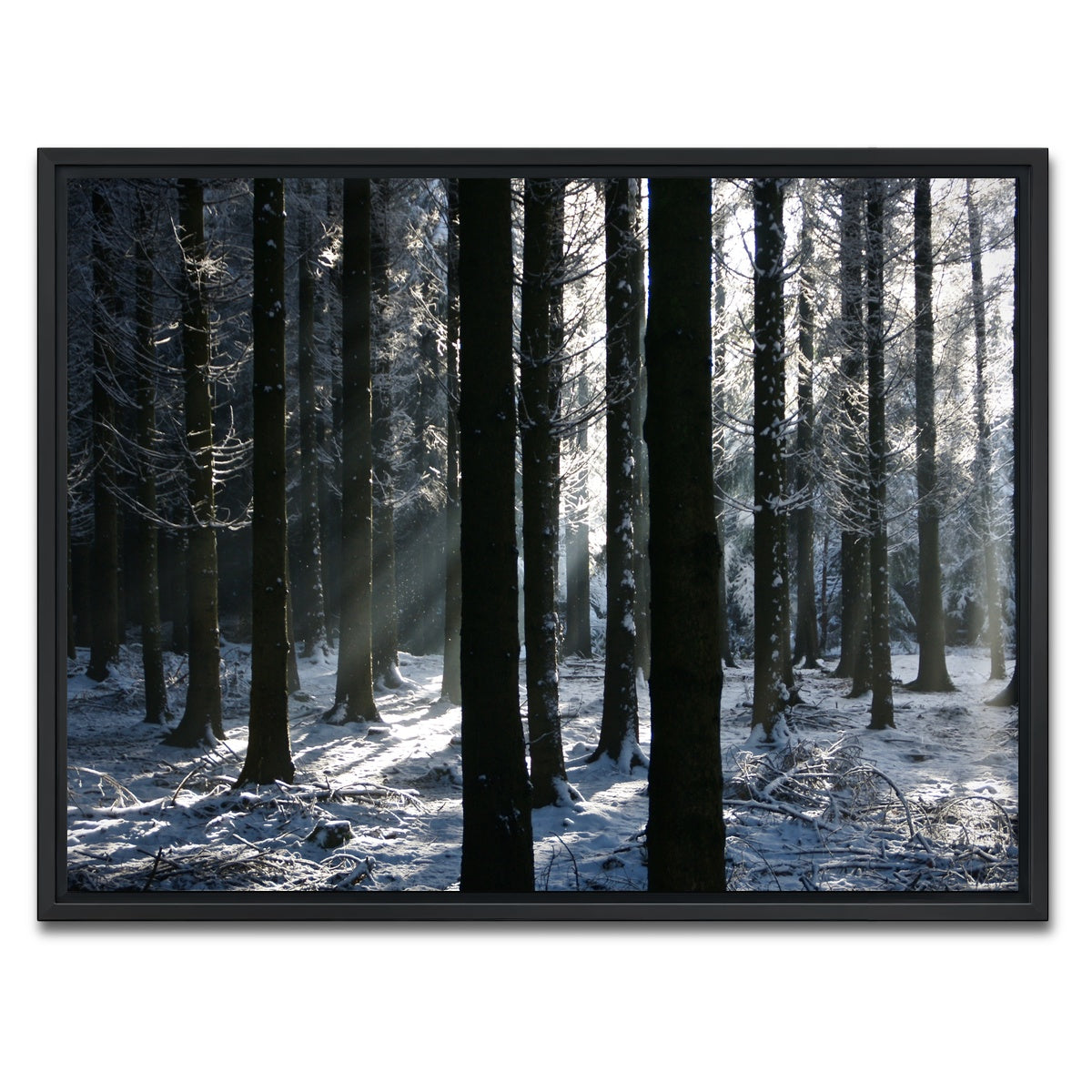 AUTO-MOCKUP WHITE | Bois Jacques Battle of the Bulge | 1 Piece | Black Framed Canvas | group=4x3