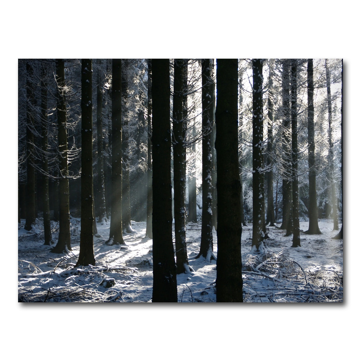 AUTO-MOCKUP WHITE | Bois Jacques Battle of the Bulge | 1 Piece | Gallery Wrap Canvas | group=4x3