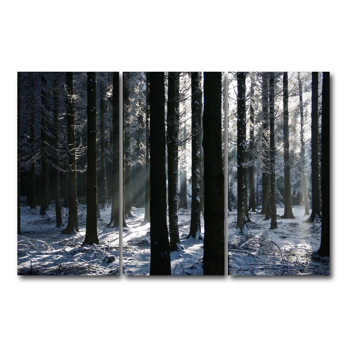 AUTO-MOCKUP WHITE | Bois Jacques Battle of the Bulge | 3 Piece | Gallery Wrap Canvas | group=12x24