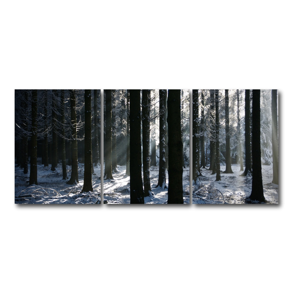 AUTO-MOCKUP WHITE | Bois Jacques Battle of the Bulge | 3 Piece | Gallery Wrap Canvas | group=18x24
