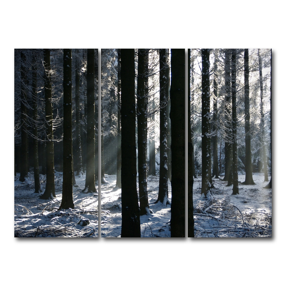 AUTO-MOCKUP WHITE | Bois Jacques Battle of the Bulge | 3 Piece | Gallery Wrap Canvas | group=8x18