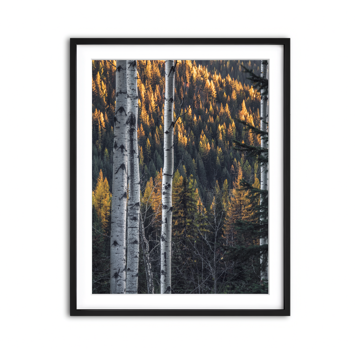 Framed Print 3x4 Black