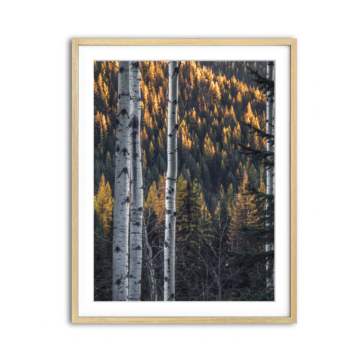 Framed Print 3x4 Natural