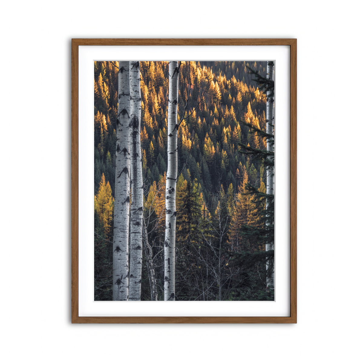 Framed Print 3x4 Walnut