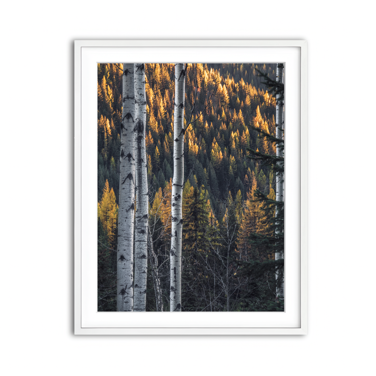 Framed Print 3x4 White