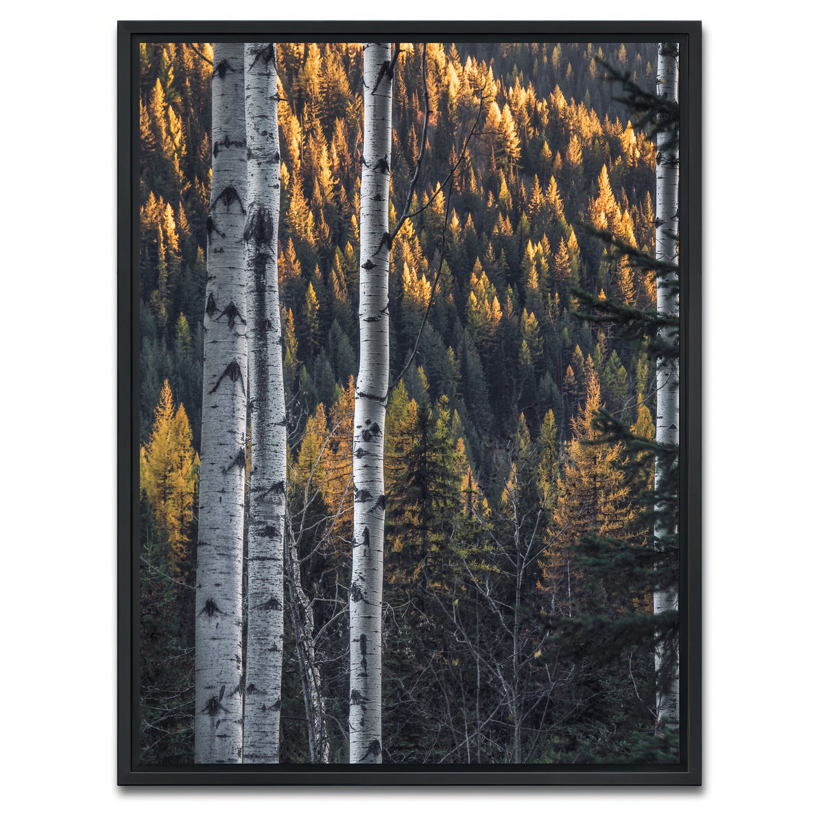 AUTO-MOCKUP WHITE | Bonanza Pass | 1 Piece | Black Framed Canvas | group=3x4