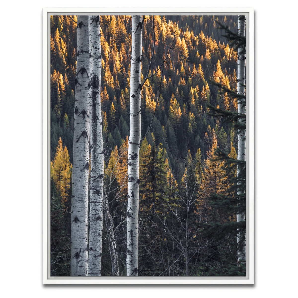 AUTO-MOCKUP WHITE | Bonanza Pass | 1 Piece | White Framed Canvas | group=3x4