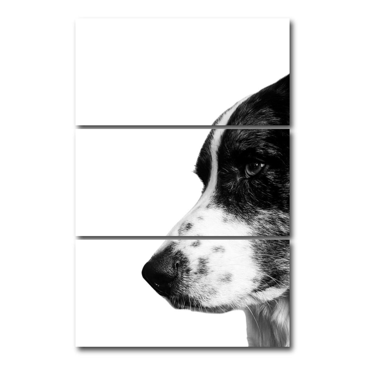 AUTO-MOCKUP WHITE | Border Collie | 3 Piece | Gallery Wrap Canvas | group=12x24_stacked