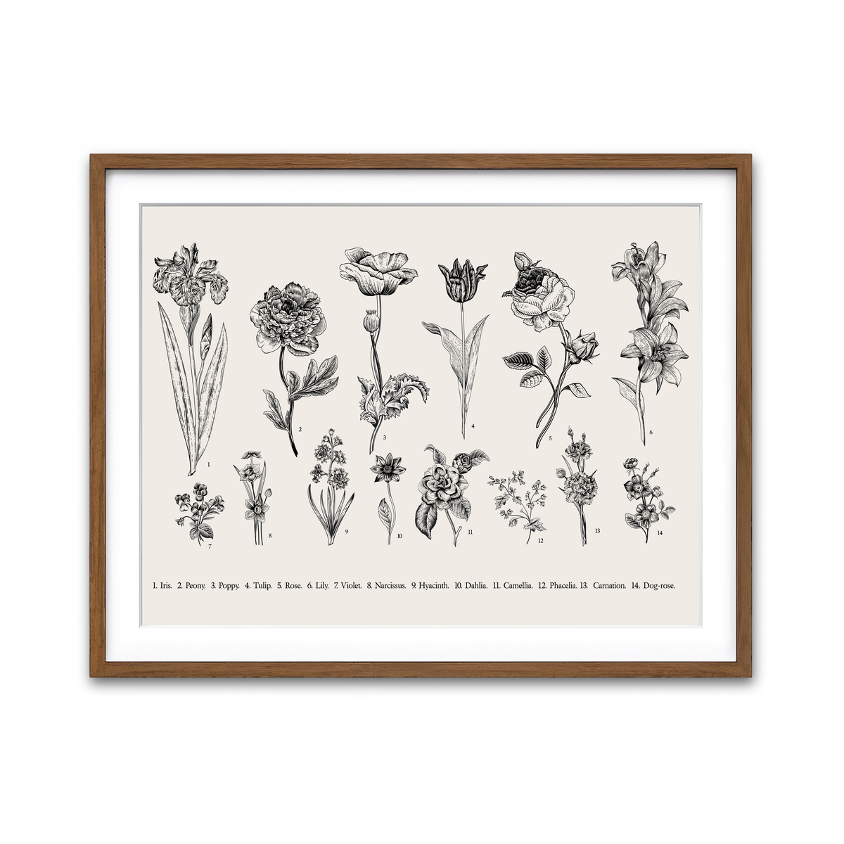 Framed Print 4x3 Walnut